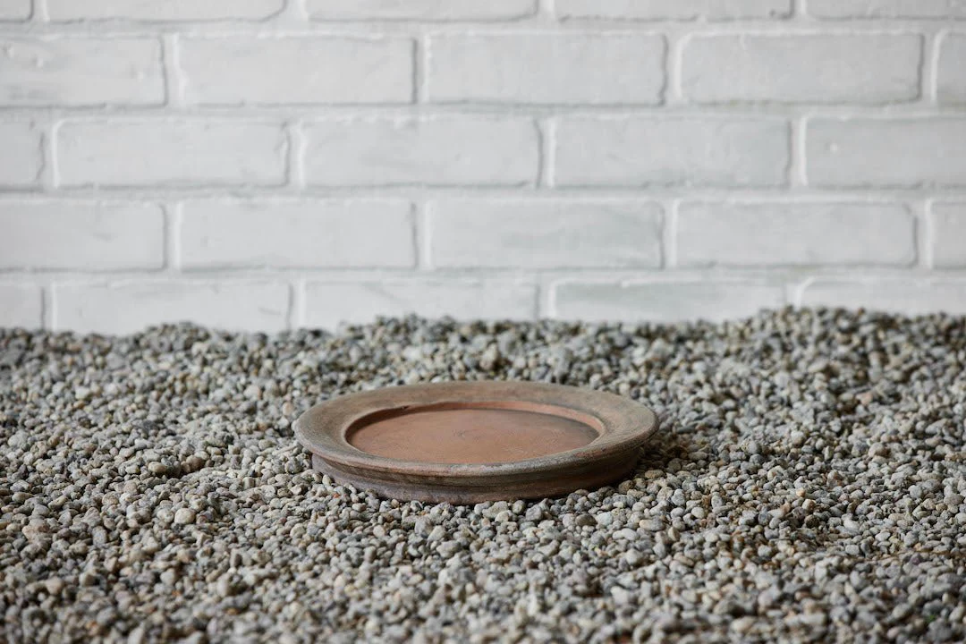 Aged Terra Cotta Saucer (Multiple Sizes) - Image 5