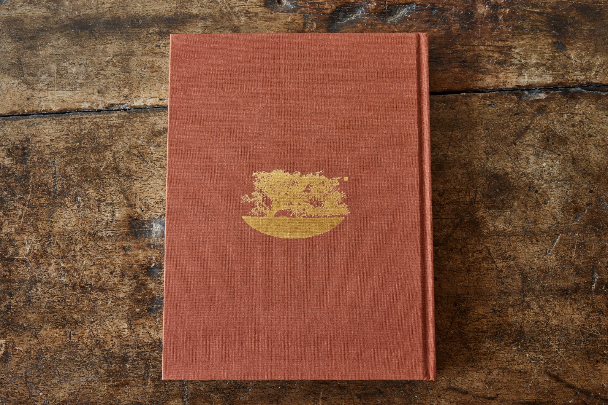 Golden Light, The Interior Design of Nickey Kehoe - Image 5